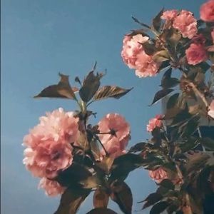 Meet your Posher, Kaylee